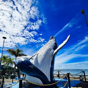 BUENAVENTURA PASADÍA PLAYA DORADA